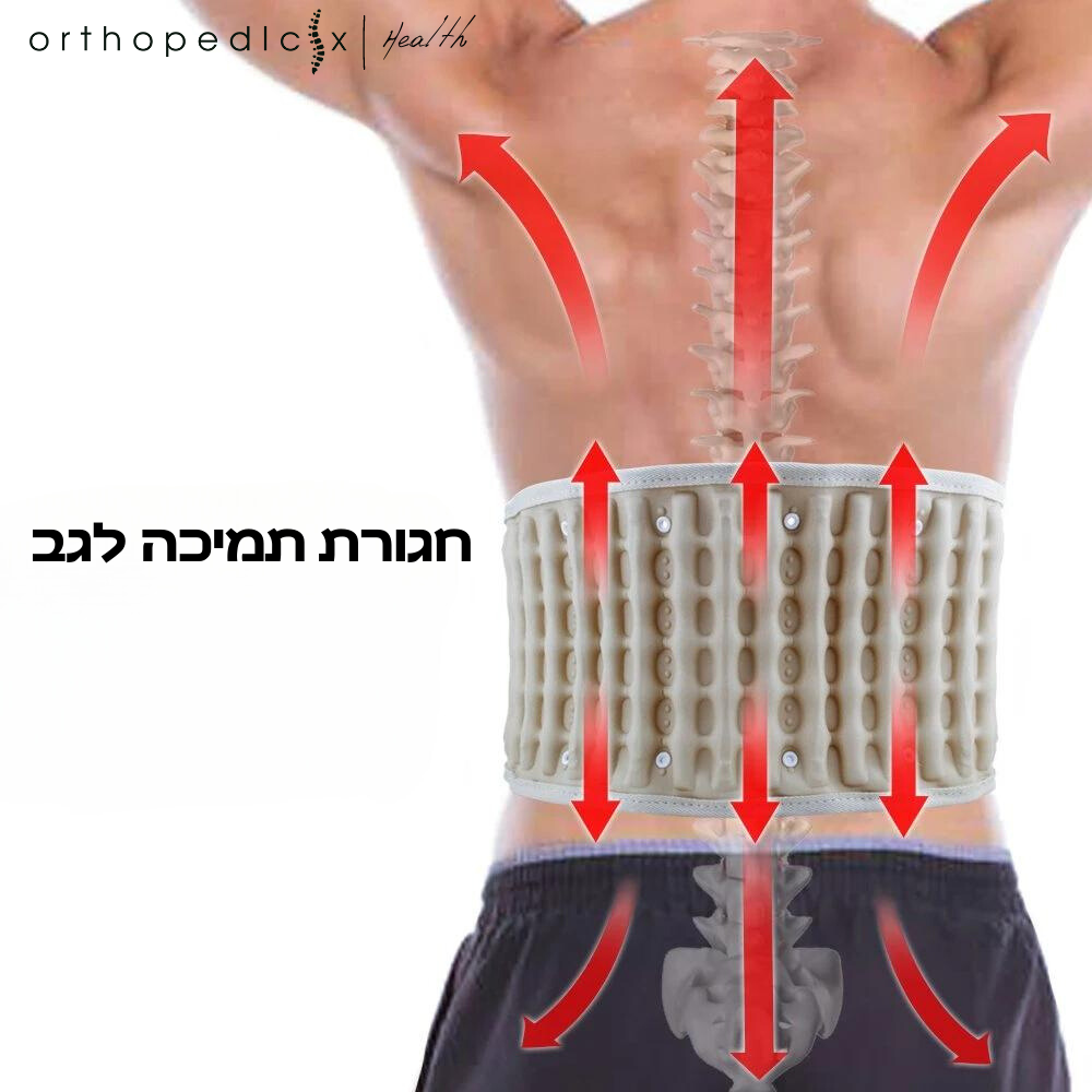 חגורת ייציבות