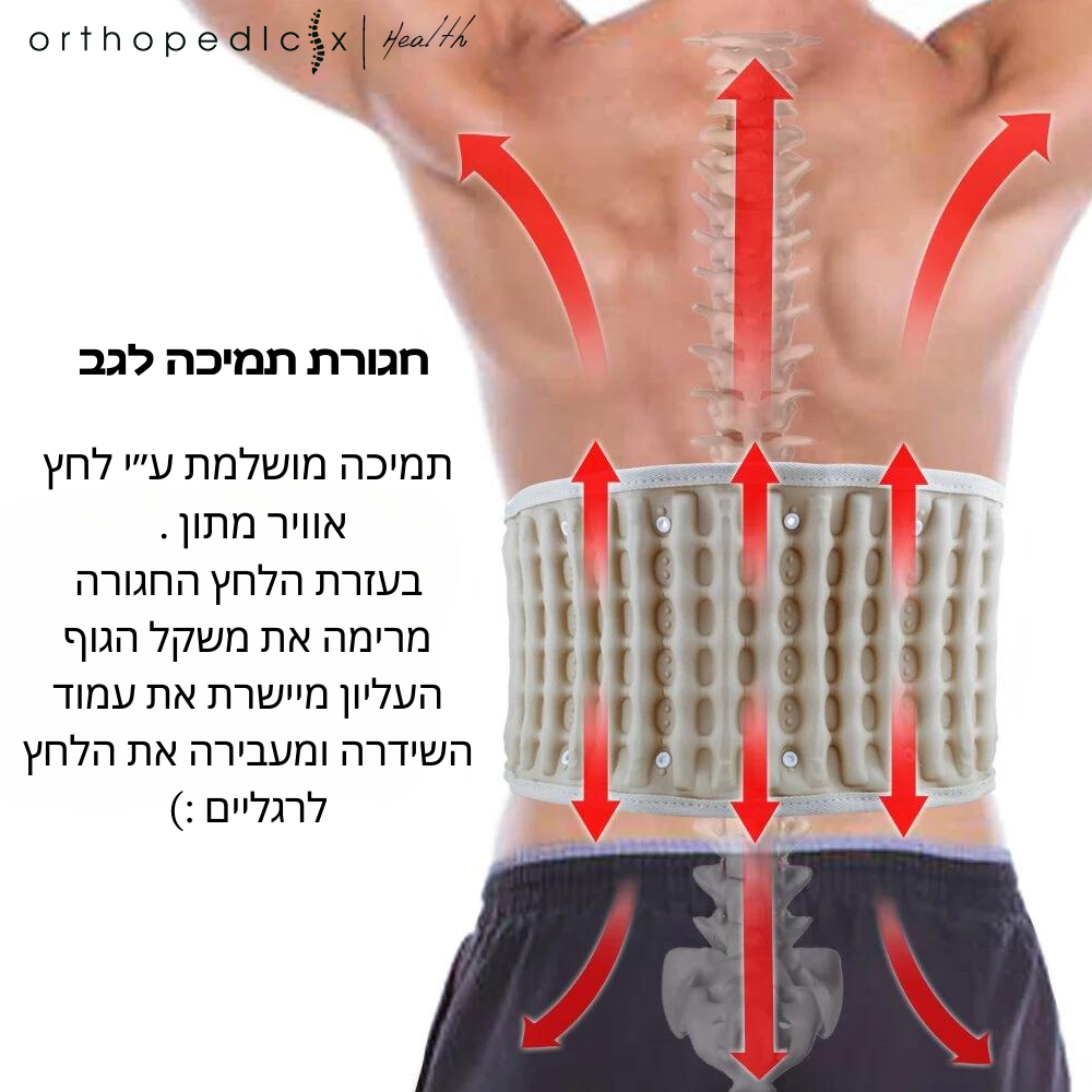 חגורת ייציבות